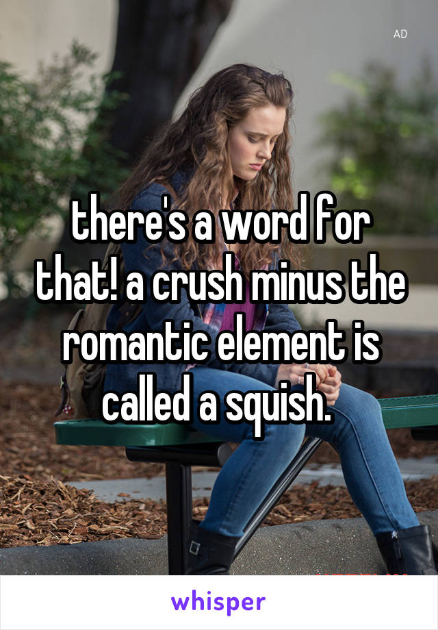 there's a word for that! a crush minus the romantic element is called a squish. 