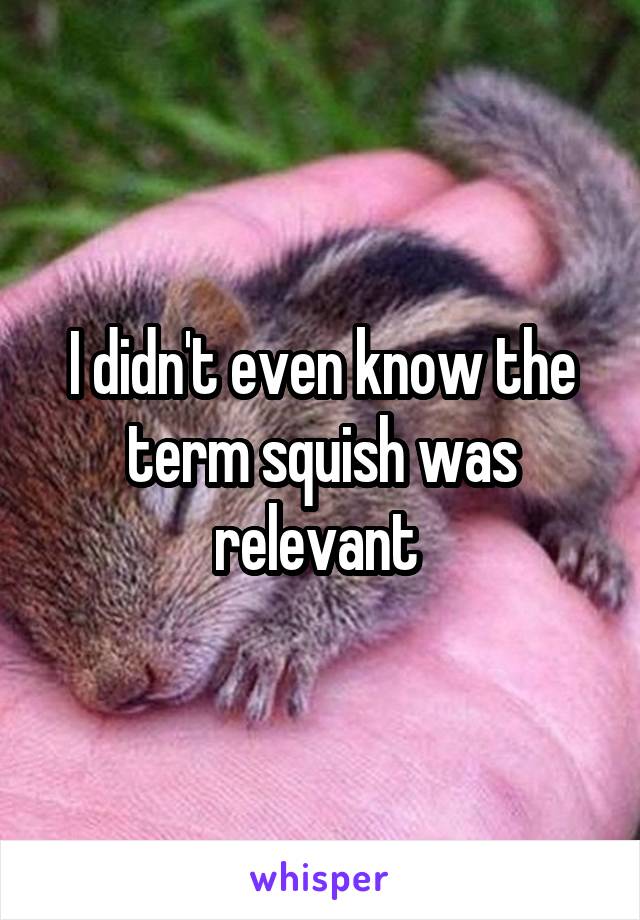 I didn't even know the term squish was relevant 