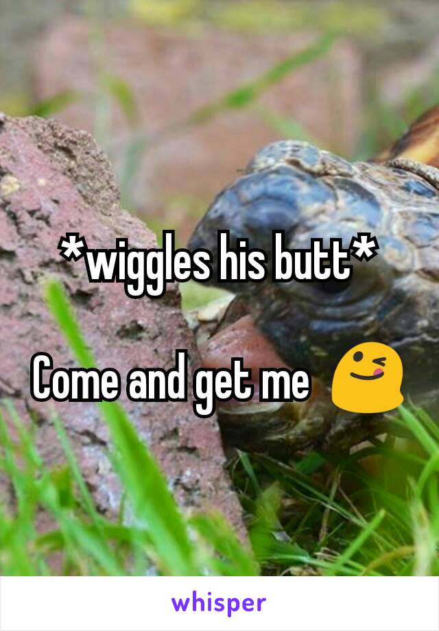 Wiggles His Butt Come And Get Me 😋 4444