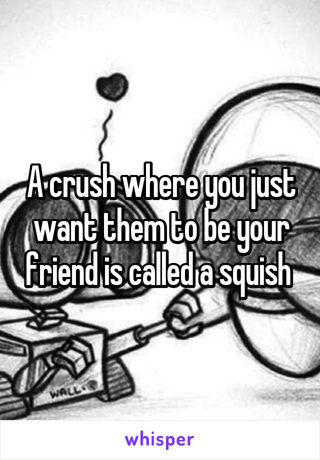 A crush where you just want them to be your friend is called a squish 
