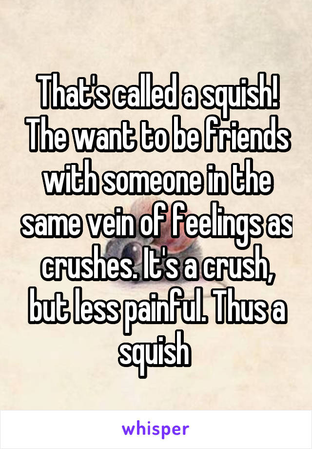 That's called a squish! The want to be friends with someone in the same vein of feelings as crushes. It's a crush, but less painful. Thus a squish 