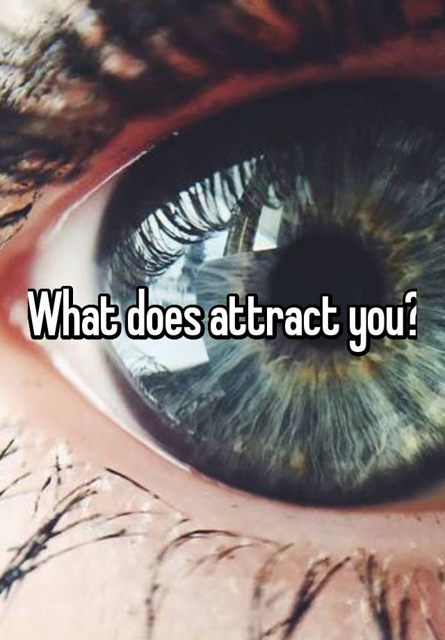 what-does-attract-you