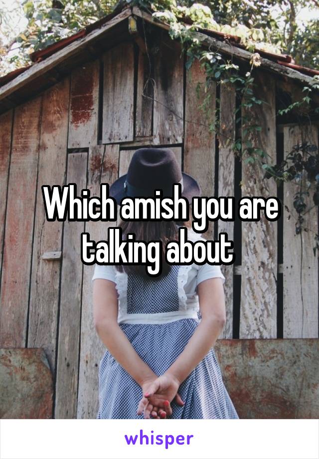 Which amish you are talking about 