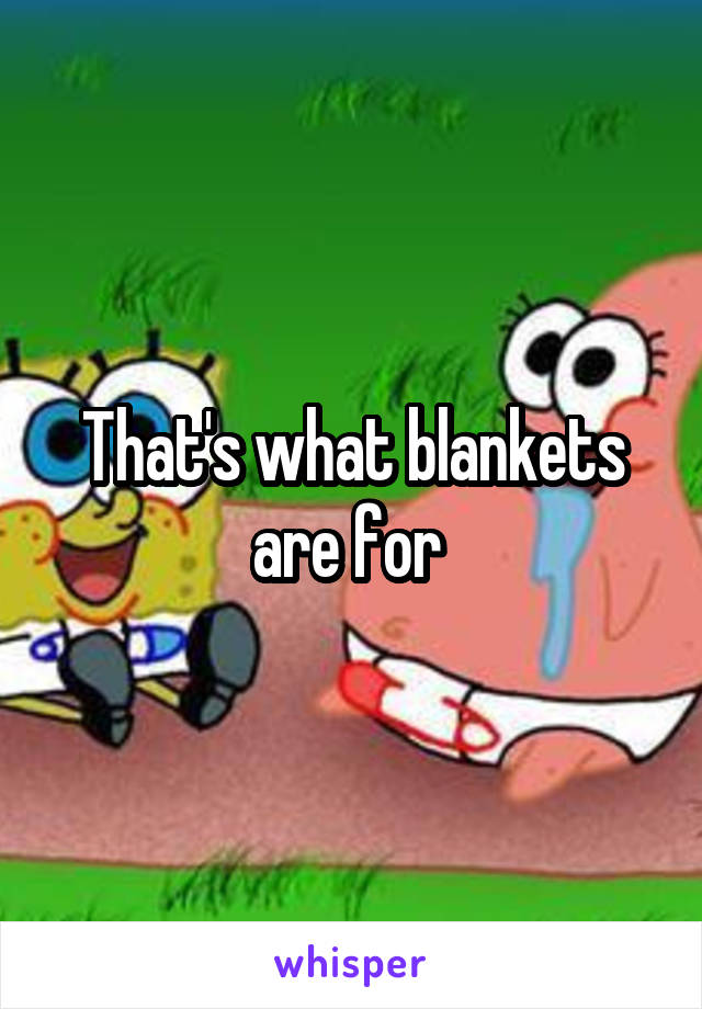 That's what blankets are for 