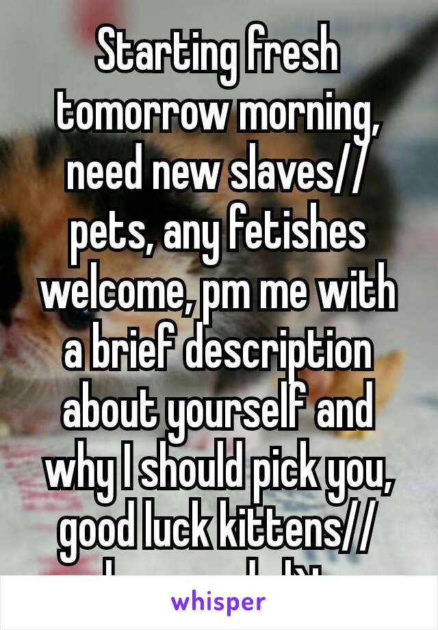 Starting fresh tomorrow morning, need new slaves//pets, any fetishes welcome, pm me with a brief description about yourself and why I should pick you, good luck kittens//slaves and slùts