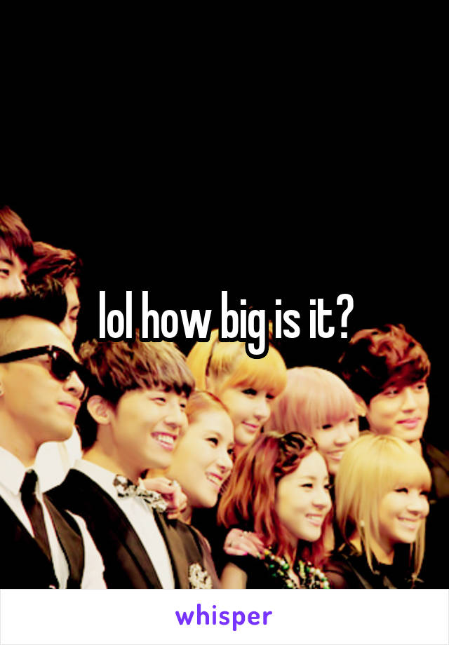 lol how big is it?