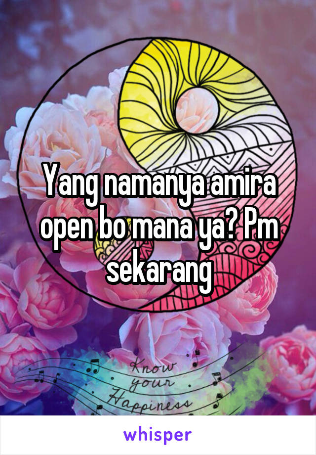 Yang namanya amira open bo mana ya? Pm sekarang