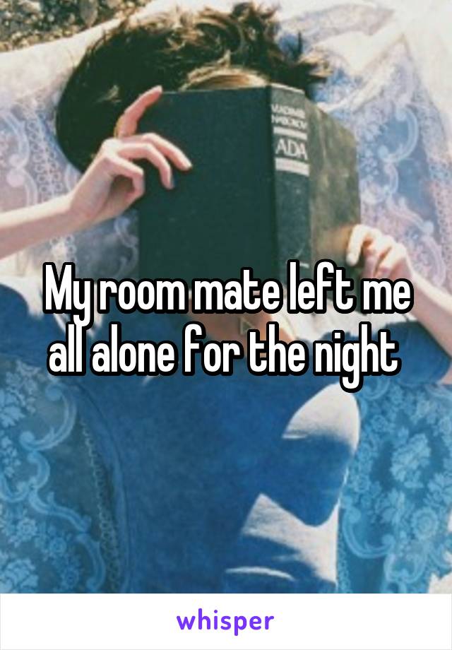 My room mate left me all alone for the night 