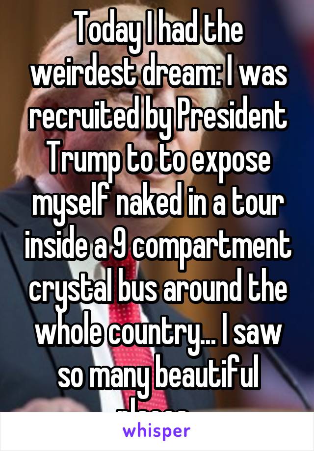 Today I had the weirdest dream: I was recruited by President Trump to to expose myself naked in a tour inside a 9 compartment crystal bus around the whole country... I saw so many beautiful places. 