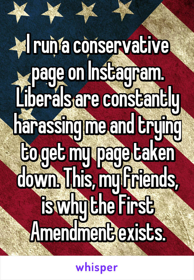 I run a conservative page on Instagram. Liberals are constantly harassing me and trying to get my  page taken down. This, my friends, is why the First Amendment exists.