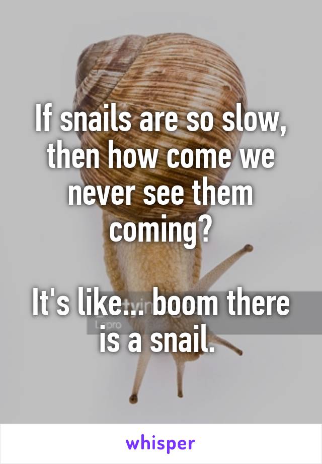 If snails are so slow, then how come we never see them coming?

It's like... boom there is a snail. 