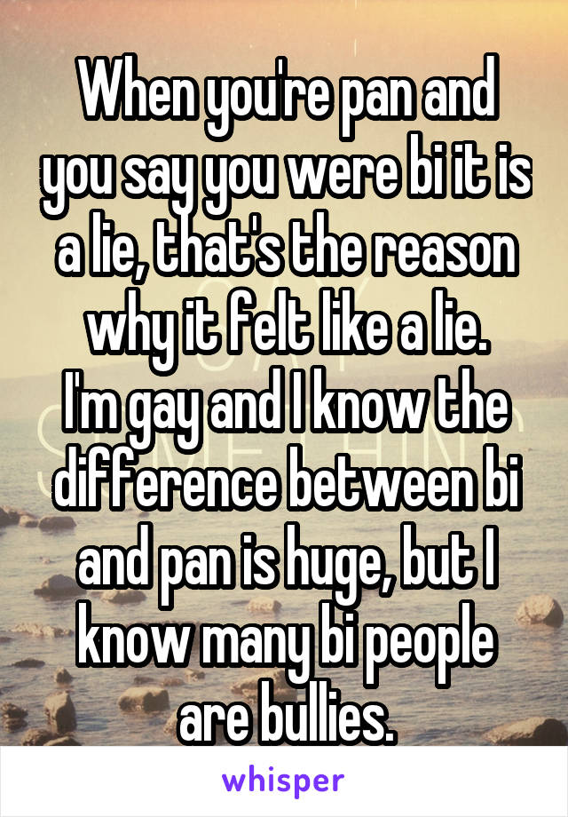 When you're pan and you say you were bi it is a lie, that's the reason why it felt like a lie.
I'm gay and I know the difference between bi and pan is huge, but I know many bi people are bullies.