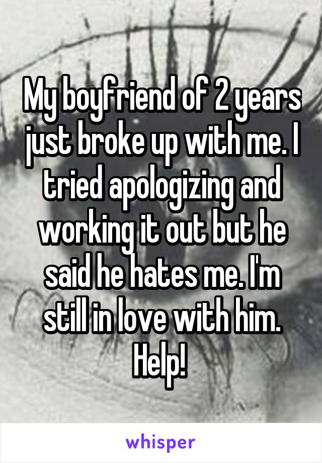 My boyfriend of 2 years just broke up with me. I tried apologizing and working it out but he said he hates me. I'm still in love with him. Help! 