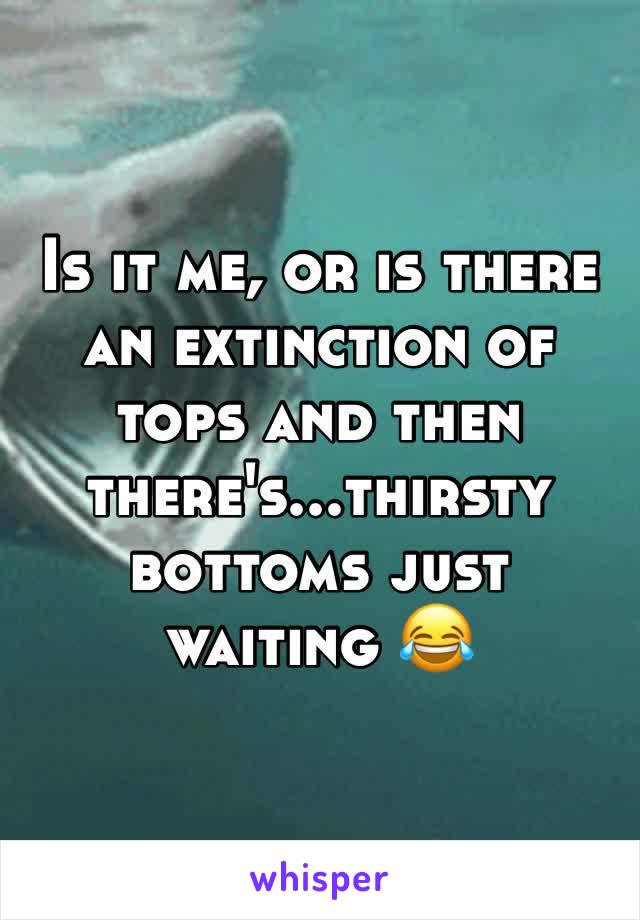 Is it me, or is there an extinction of tops and then there's...thirsty bottoms just waiting 😂