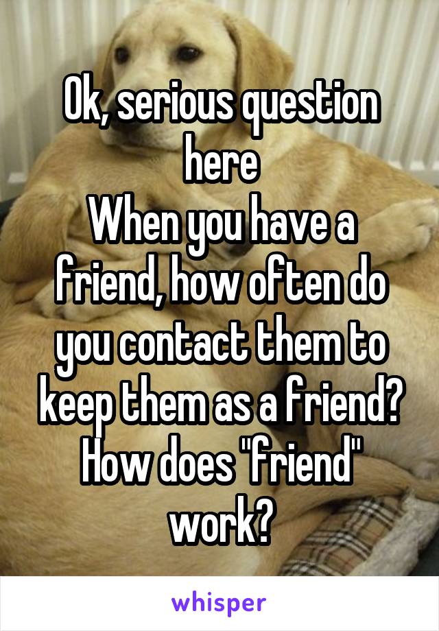 Ok, serious question here
When you have a friend, how often do you contact them to keep them as a friend?
How does "friend" work?