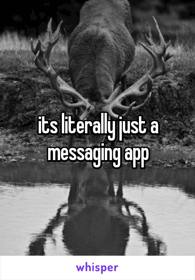 its literally just a messaging app