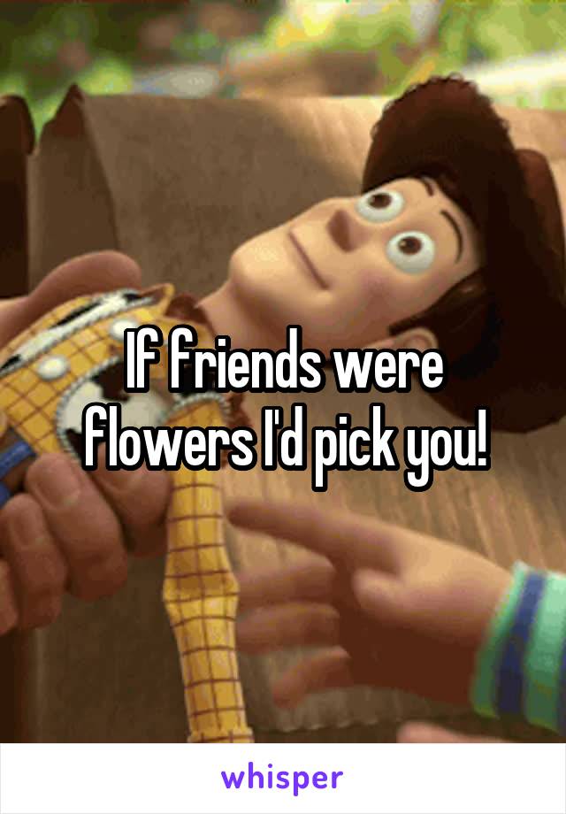 If friends were flowers I'd pick you!