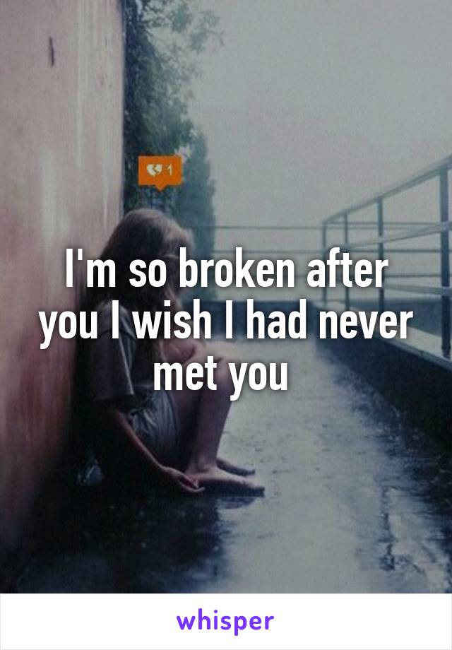 I'm so broken after you I wish I had never met you 