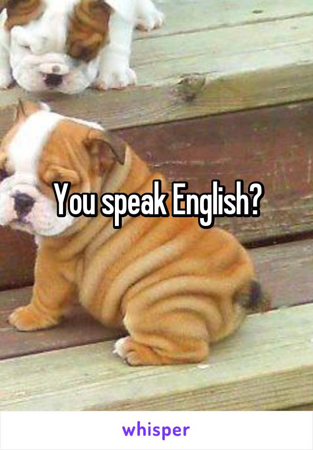 You speak English?
