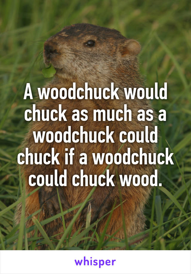 A woodchuck would chuck as much as a woodchuck could chuck if a woodchuck could chuck wood.