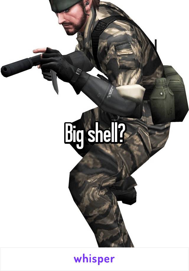 Big shell?