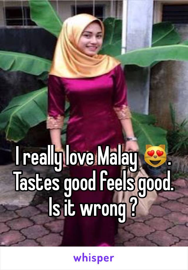 I really love Malay 😻. Tastes good feels good. Is it wrong ? 