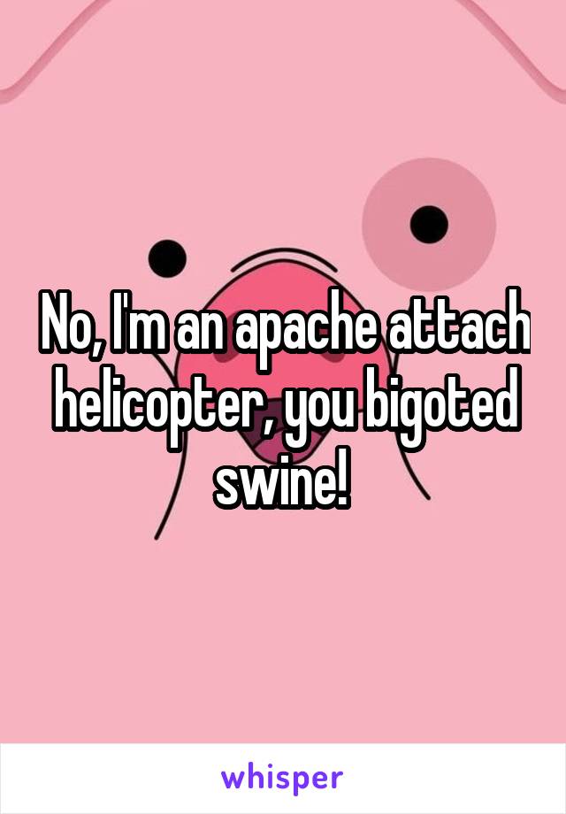 No, I'm an apache attach helicopter, you bigoted swine! 