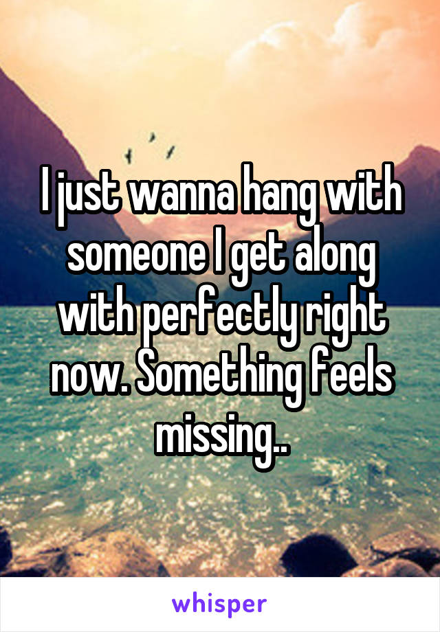 I just wanna hang with someone I get along with perfectly right now. Something feels missing..