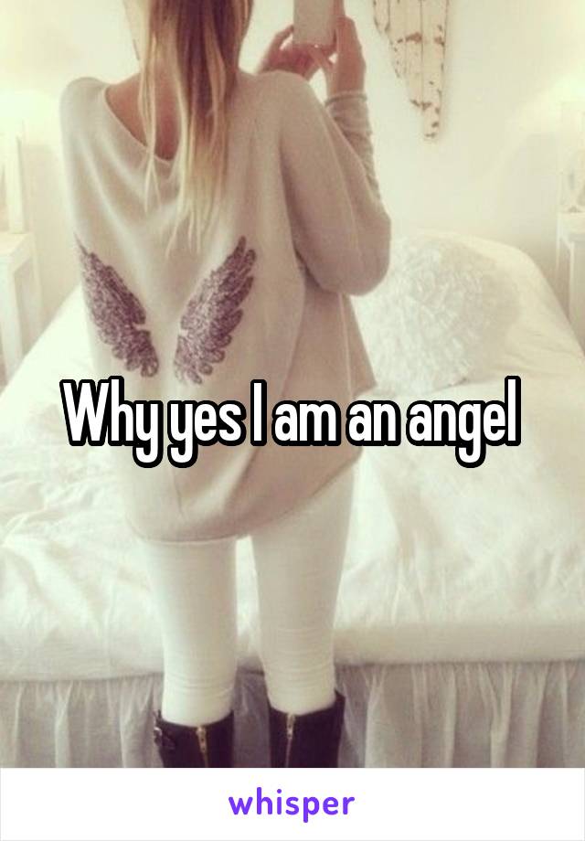 Why yes I am an angel 