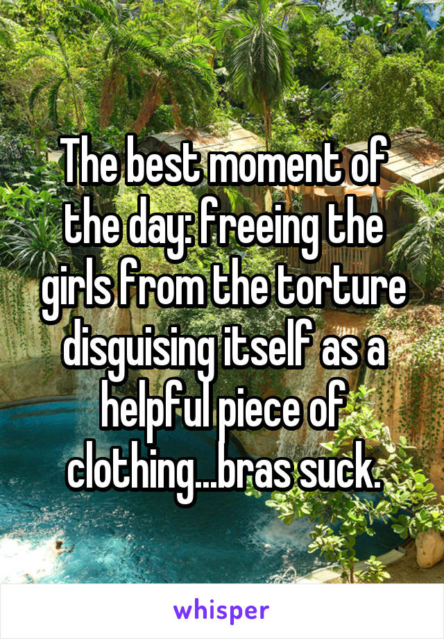 The best moment of the day: freeing the girls from the torture disguising itself as a helpful piece of clothing...bras suck.