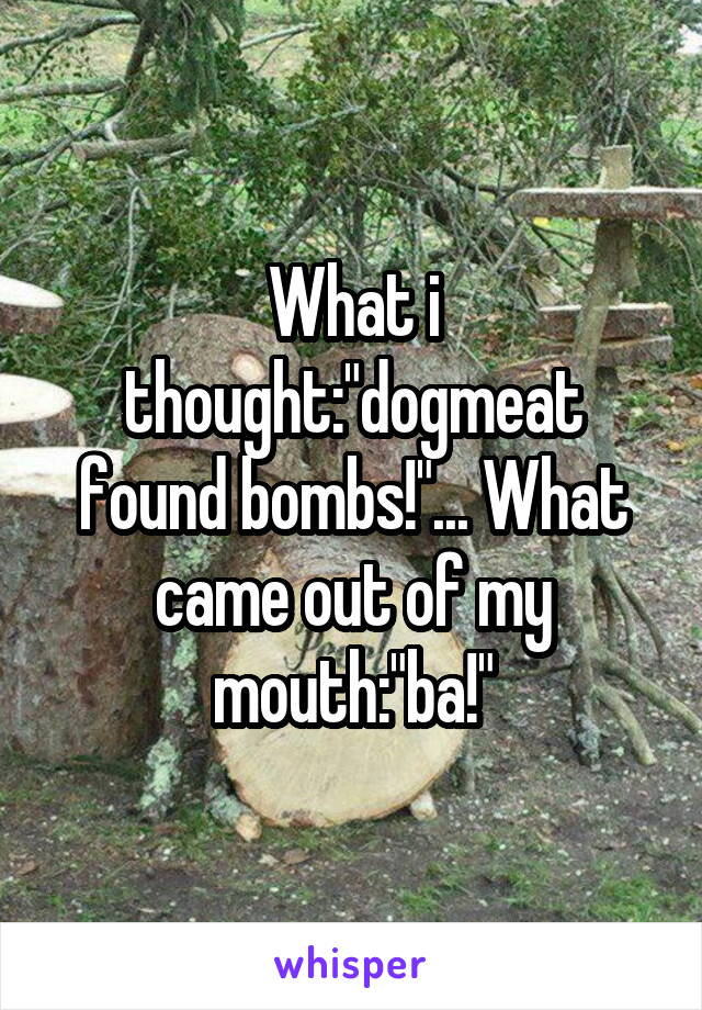 What i thought:"dogmeat found bombs!"... What came out of my mouth:"ba!"