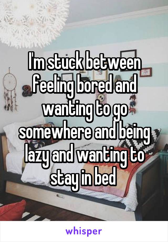 I'm stuck between feeling bored and wanting to go somewhere and being lazy and wanting to stay in bed 