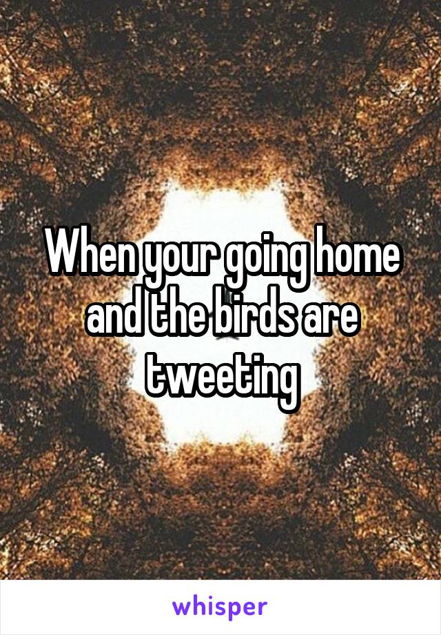 When your going home and the birds are tweeting