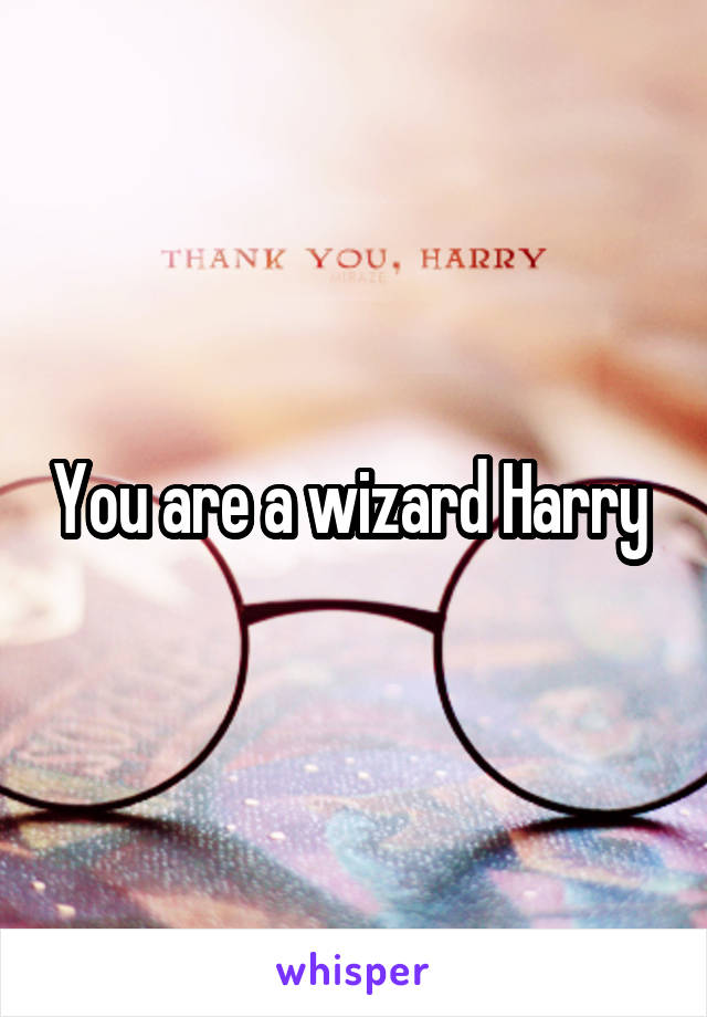 You are a wizard Harry 