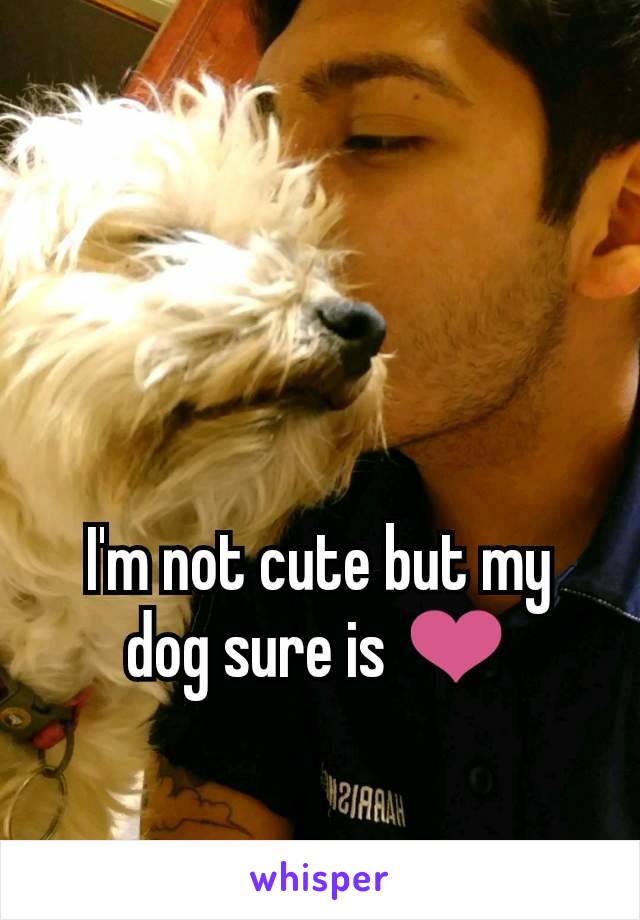 I'm not cute but my dog sure is ❤