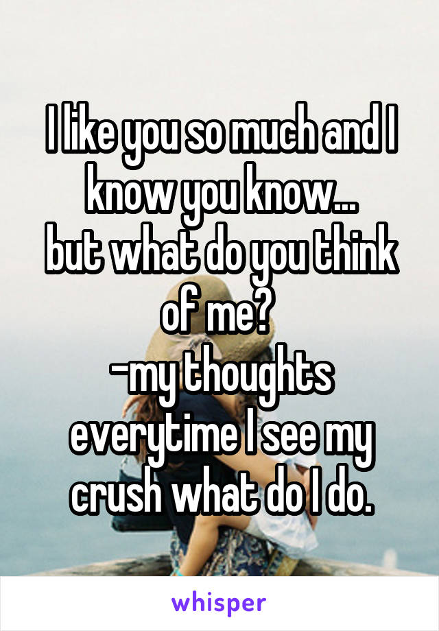 I like you so much and I know you know...
but what do you think of me? 
-my thoughts everytime I see my crush what do I do.