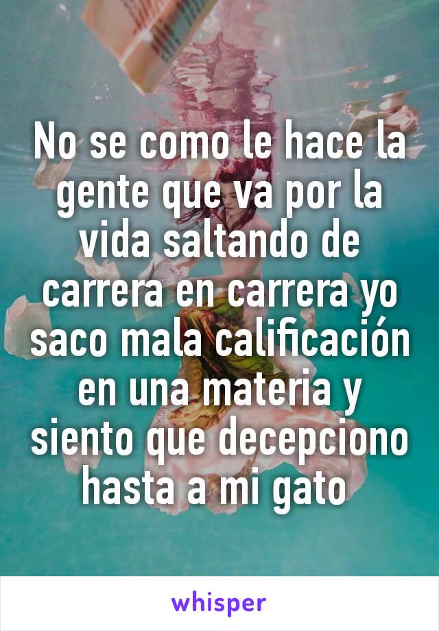 No se como le hace la gente que va por la vida saltando de carrera en carrera yo saco mala calificación  en una materia y siento que decepciono hasta a mi gato 