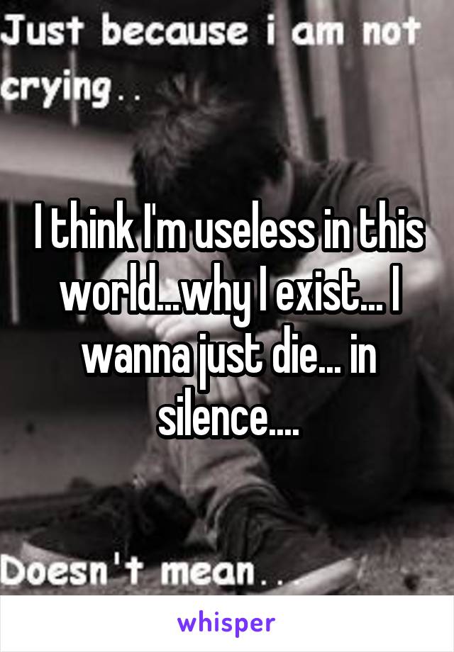 I think I'm useless in this world...why I exist... I wanna just die... in silence....