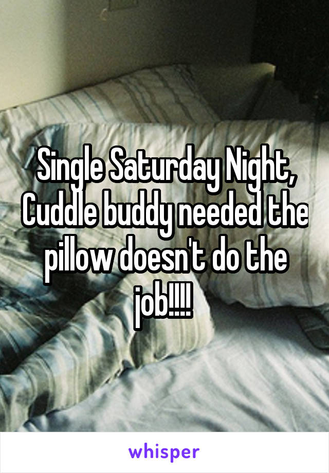 Single Saturday Night, Cuddle buddy needed the pillow doesn't do the job!!!! 