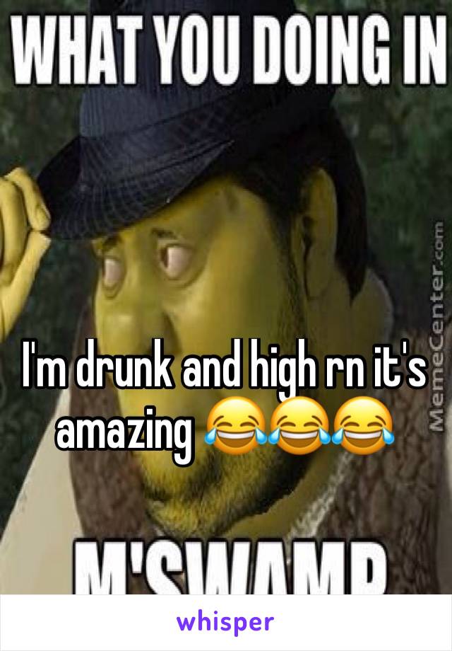 I'm drunk and high rn it's amazing 😂😂😂