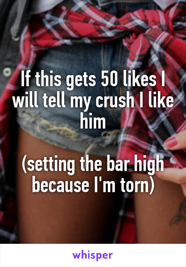 If this gets 50 likes I will tell my crush I like him

(setting the bar high because I'm torn)