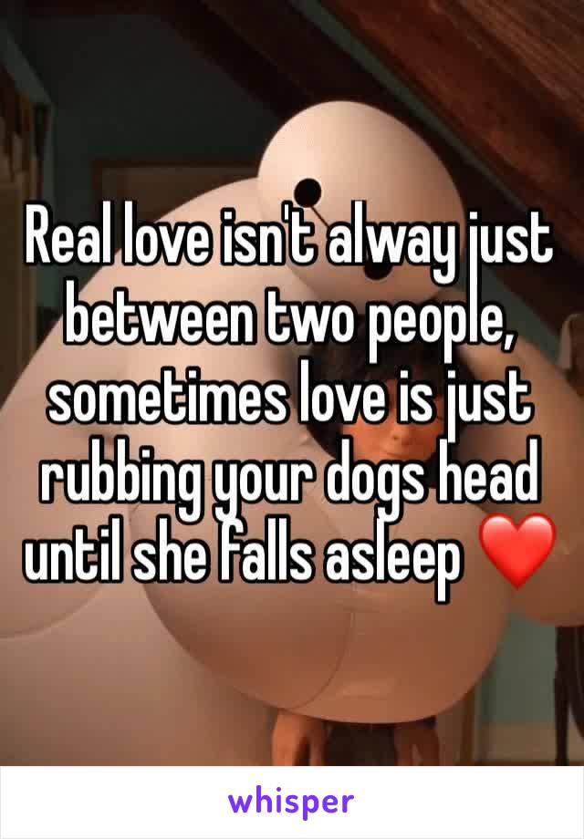 Real love isn't alway just between two people, sometimes love is just rubbing your dogs head until she falls asleep ❤