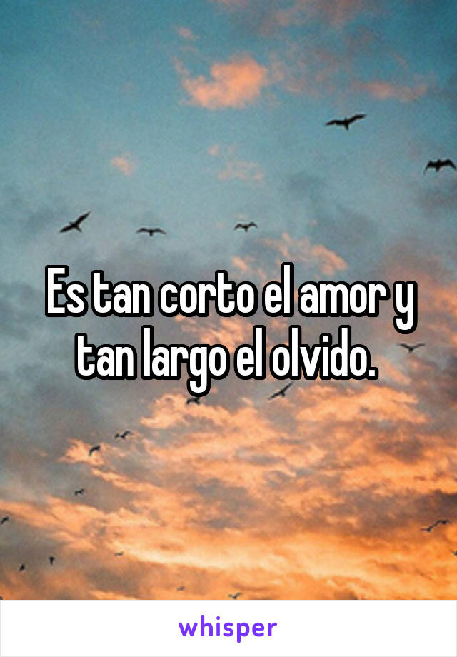 Es tan corto el amor y tan largo el olvido. 