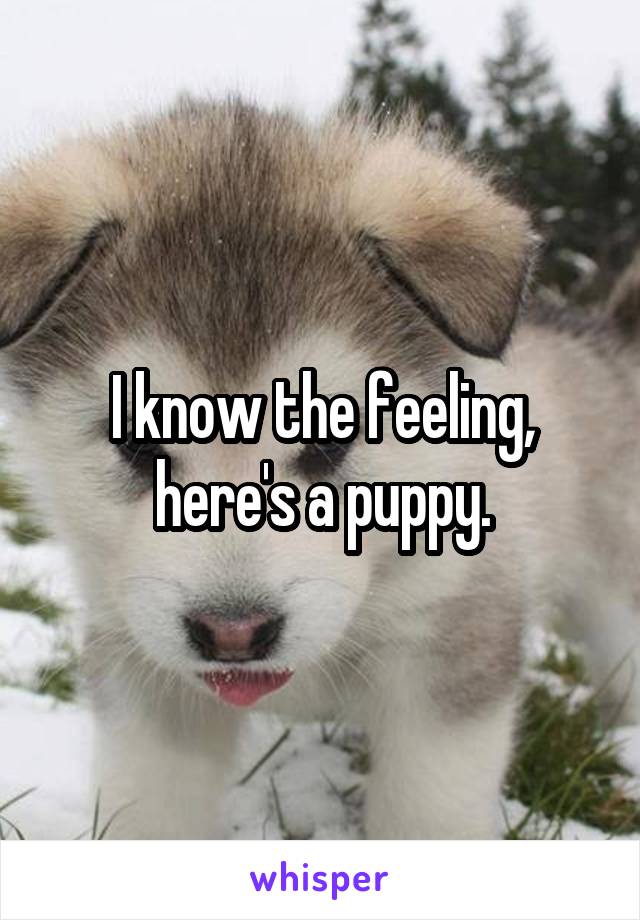 I know the feeling, here's a puppy.