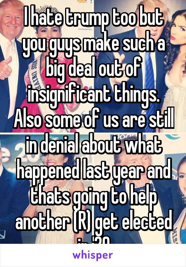 I hate trump too but you guys make such a big deal out of insignificant things. Also some of us are still in denial about what happened last year and thats going to help another (R) get elected in '20