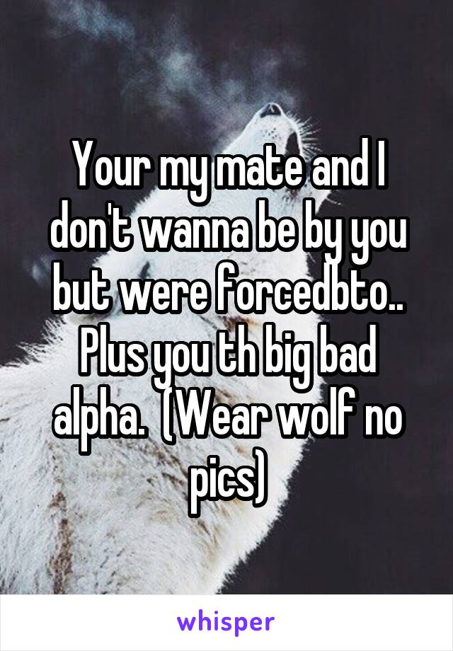 Your my mate and I don't wanna be by you but were forcedbto.. Plus you th big bad alpha.  (Wear wolf no pics)