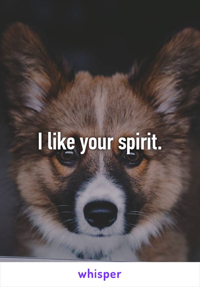 I like your spirit.