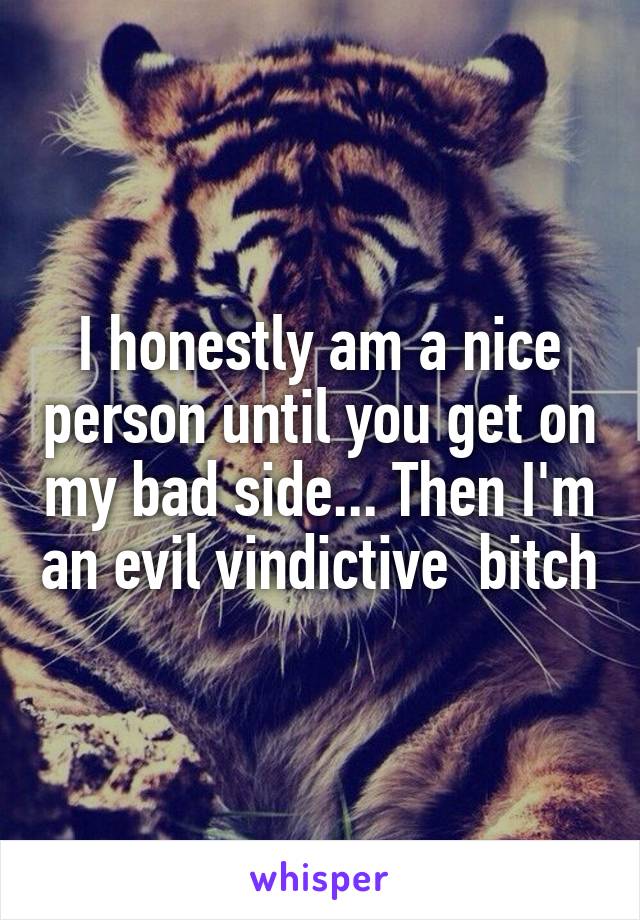 I honestly am a nice person until you get on my bad side... Then I'm an evil vindictive  bitch