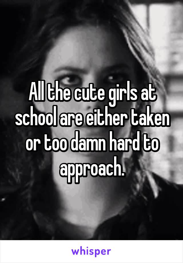 All the cute girls at school are either taken or too damn hard to approach.