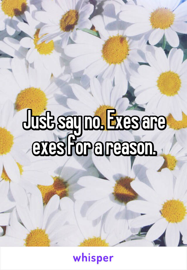 Just say no. Exes are exes for a reason.